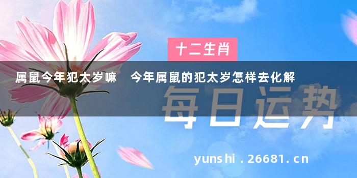 属鼠今年犯太岁嘛 今年属鼠的犯太岁怎样去化解